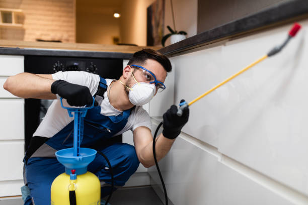 Professional Pest Control in Windsor, NC