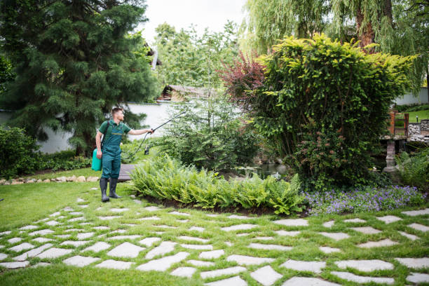Best Pest Control Near Me  in Windsor, NC