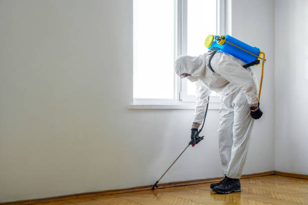 Best Local Pest Control Services  in Windsor, NC