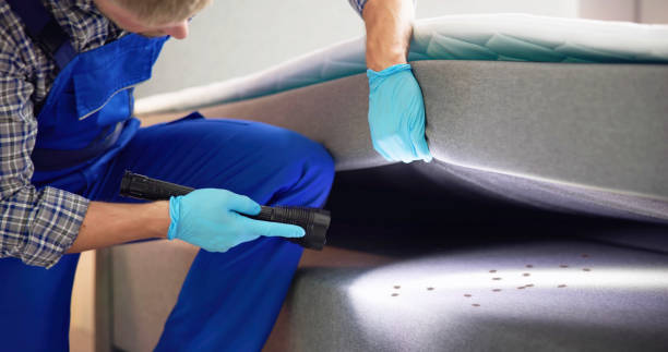 Best Best Pest Control Companies  in Windsor, NC